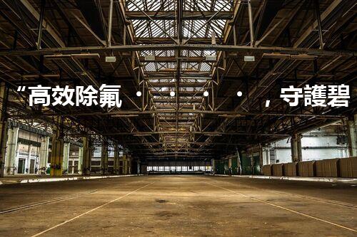 “高效除氟，守護碧水藍天——廢水中氟離子處理新篇章”